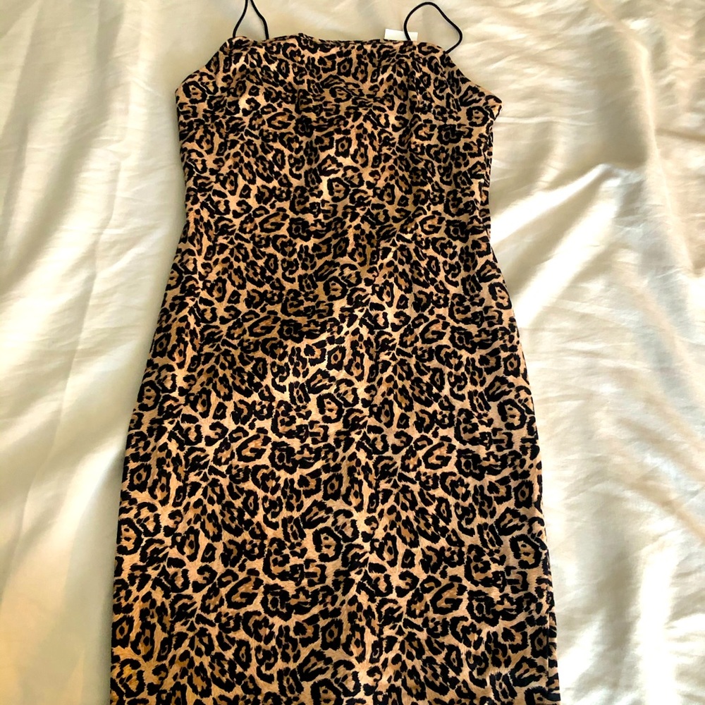 Clothes - Picture 1 of 16